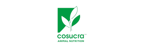 Logo Cosucra